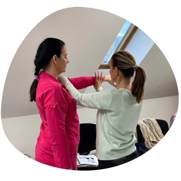 kineziologie kurzy Brno