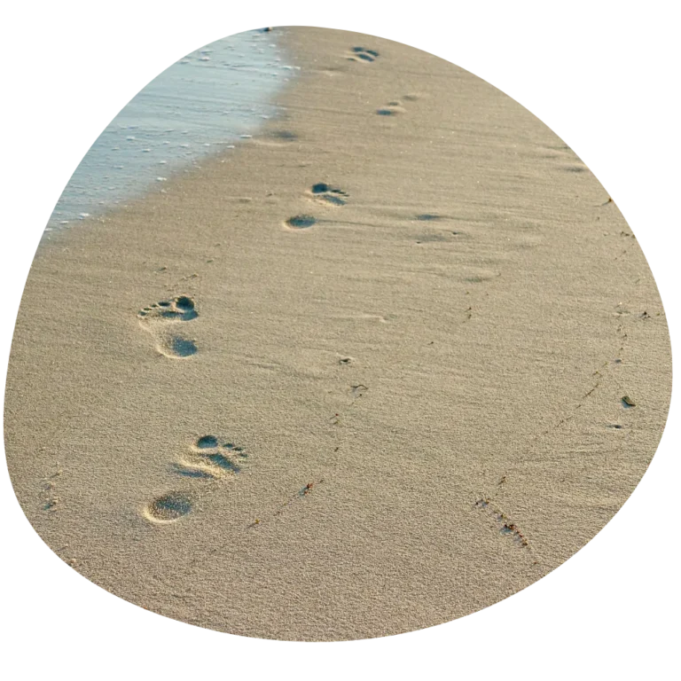 kineziologie kurzy Brno