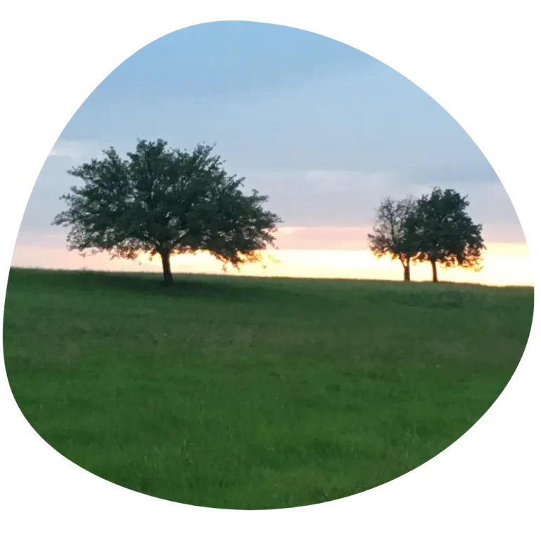 kineziologie kurzy Brno