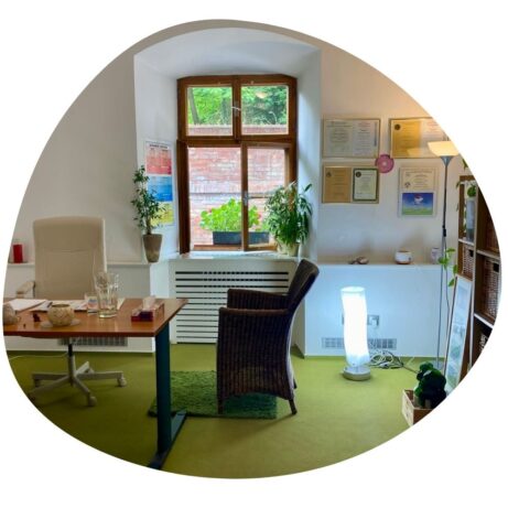 kineziologie kurzy Brno