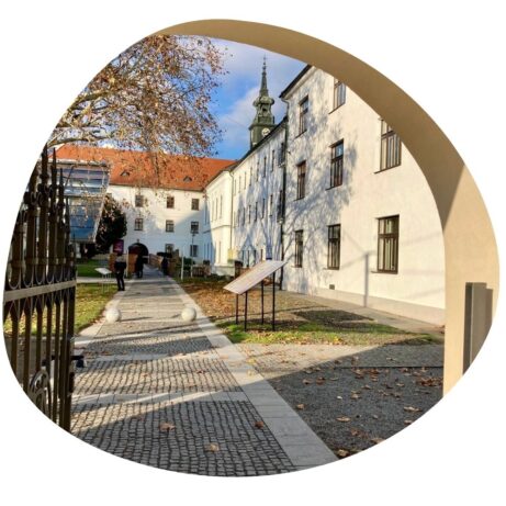 kineziologie kurzy Brno